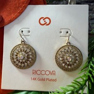 Riccova 14K Plated Glam Gold Plated Earrings